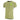 Mamelodi Sundowns TeamEvo Stripe Men's T-Shirt Green/White PUMA